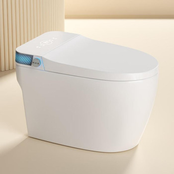 8804 Smart toilet