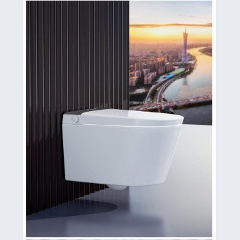 8813 smart toilet